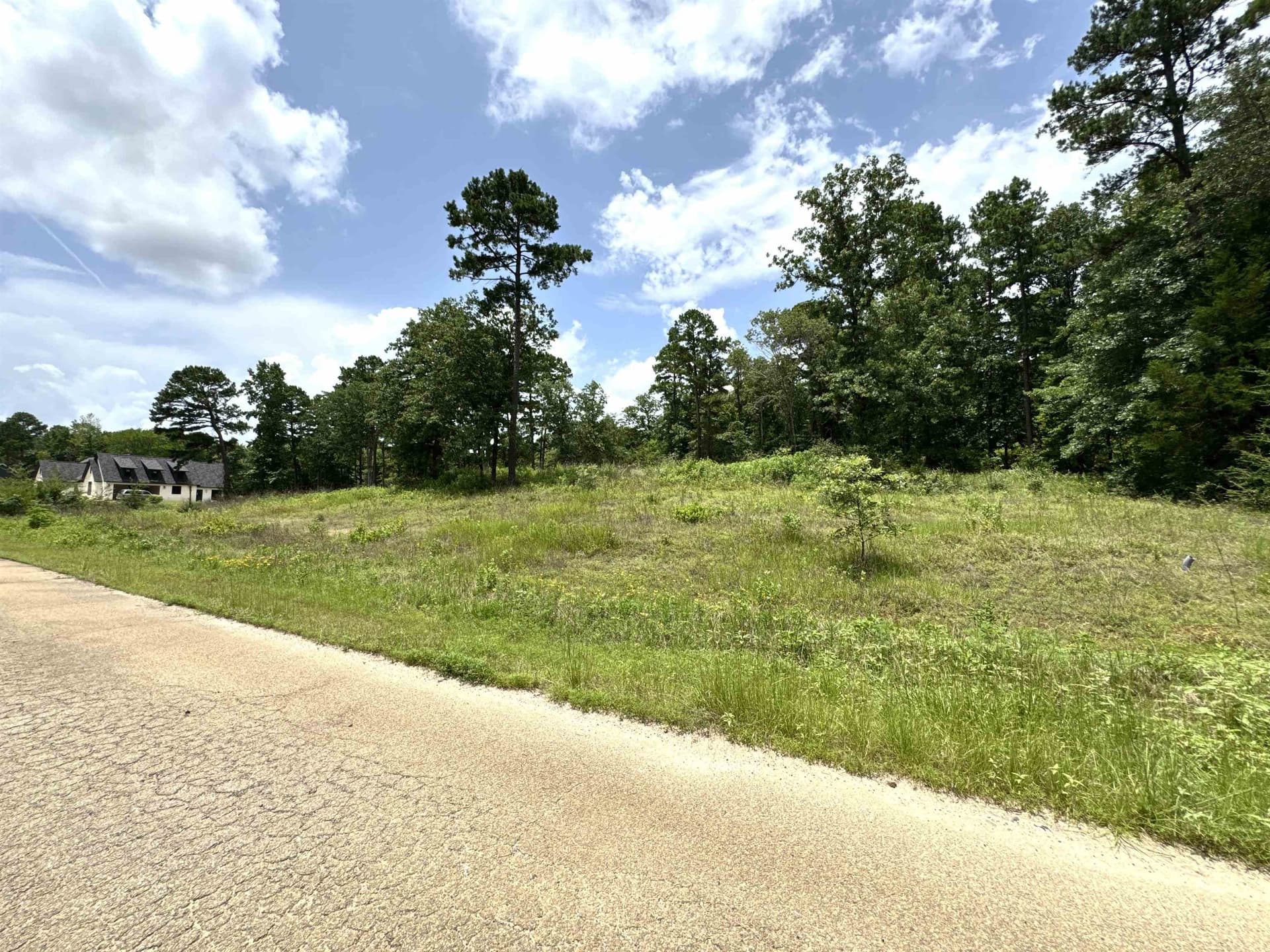 1.19 acres in Wood County - photo 3