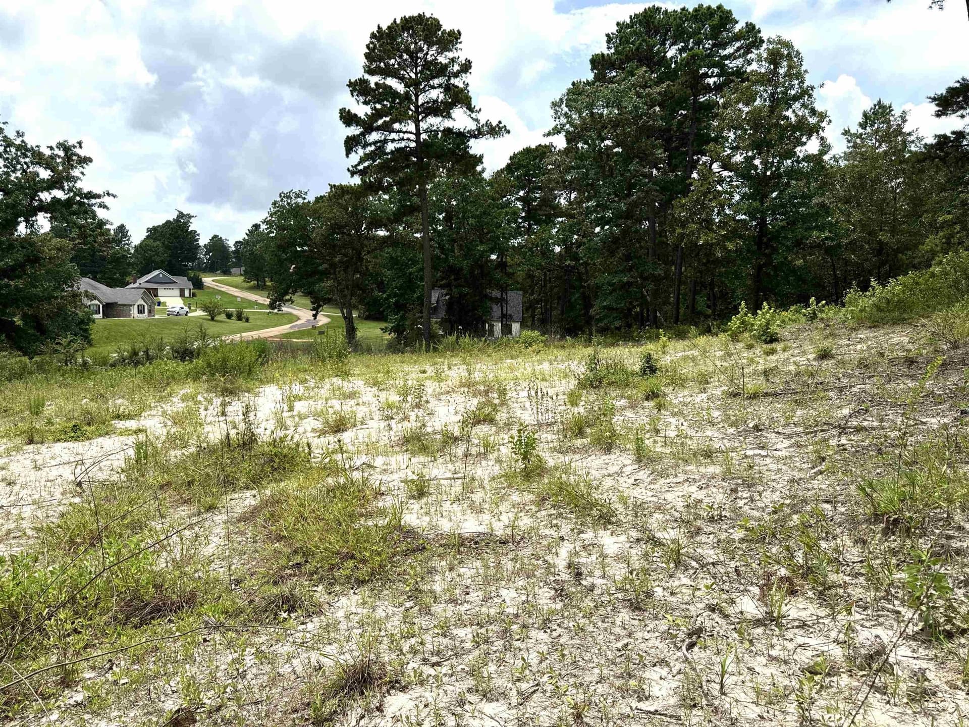 1.19 acres in Wood County - photo 7