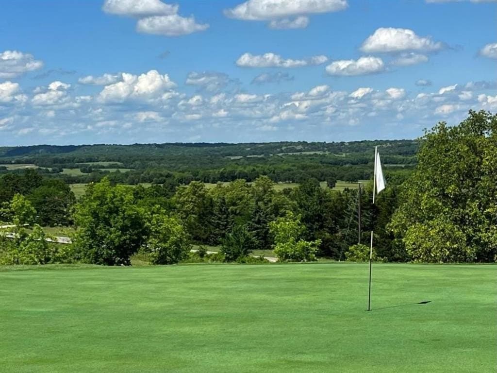 0.25 acres in Montague County gallery image 3