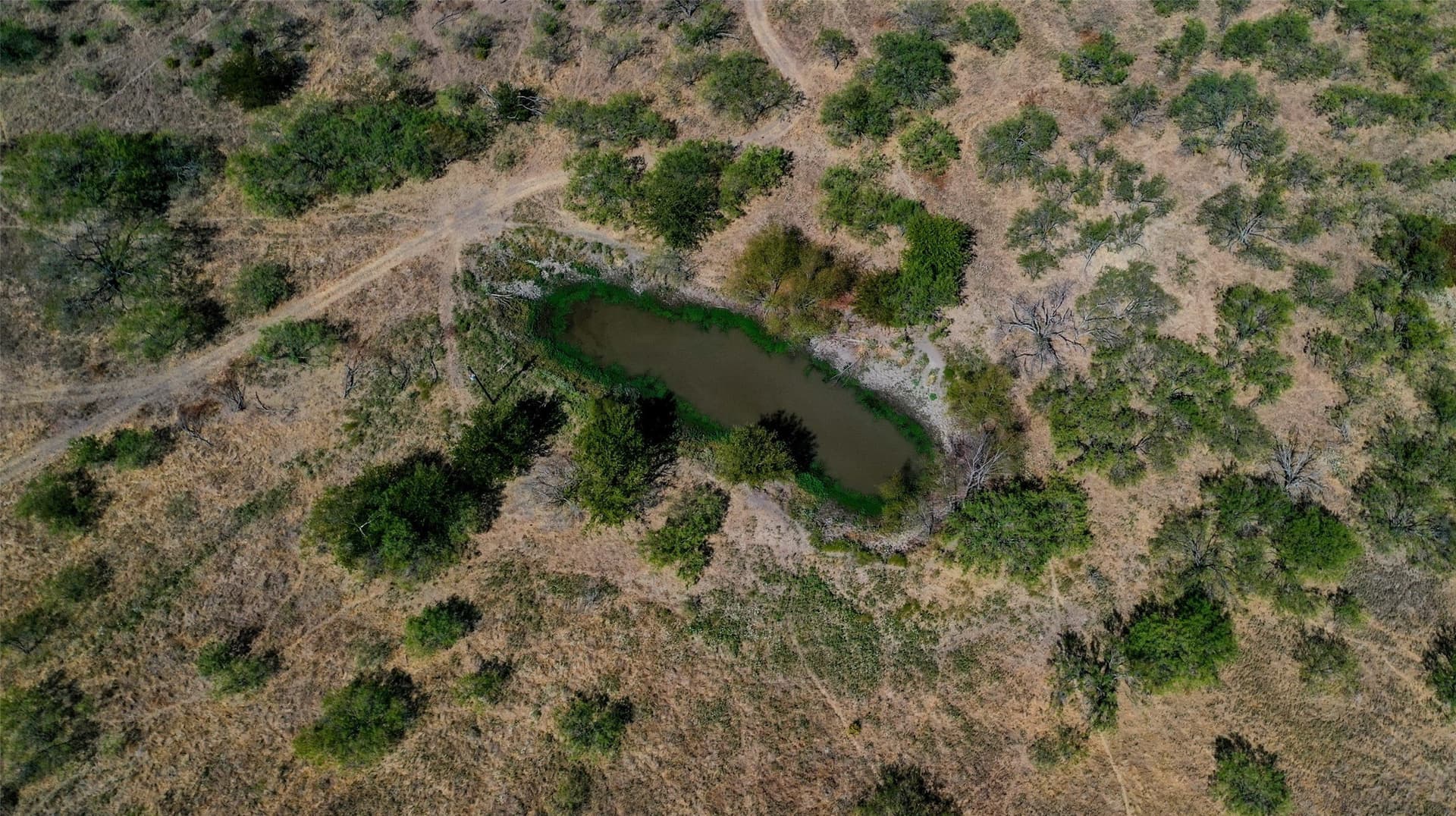 34.54 acres in Kaufman County - photo 8