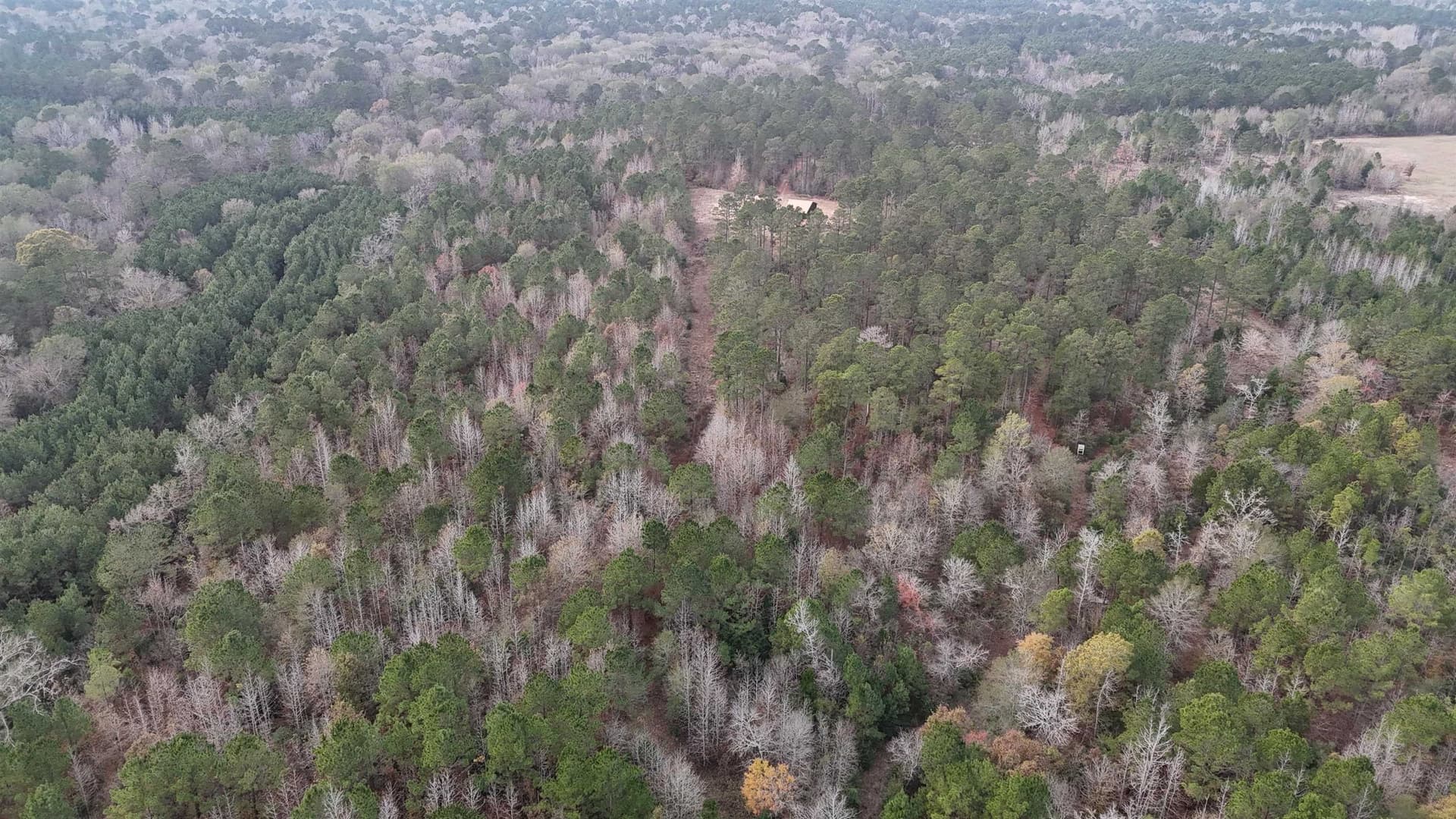 18 acres in Anderson County gallery image 3