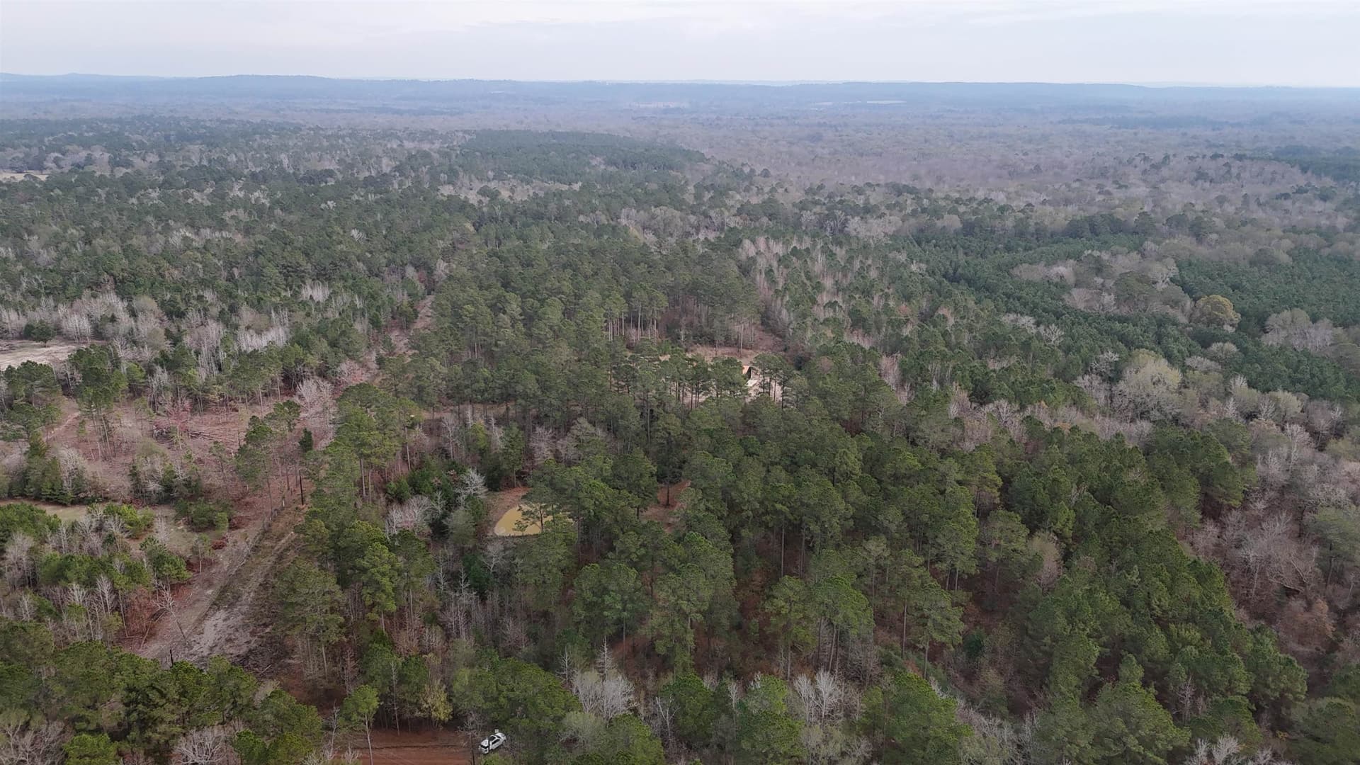 18 acres in Anderson County gallery image 2