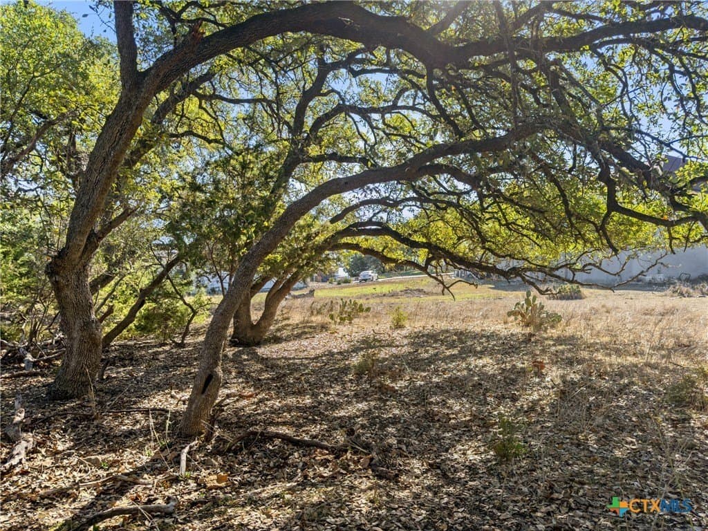 1.13 acres in Comal County featured view