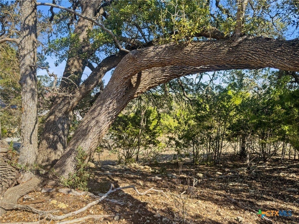 1.13 acres in Comal County gallery image 4