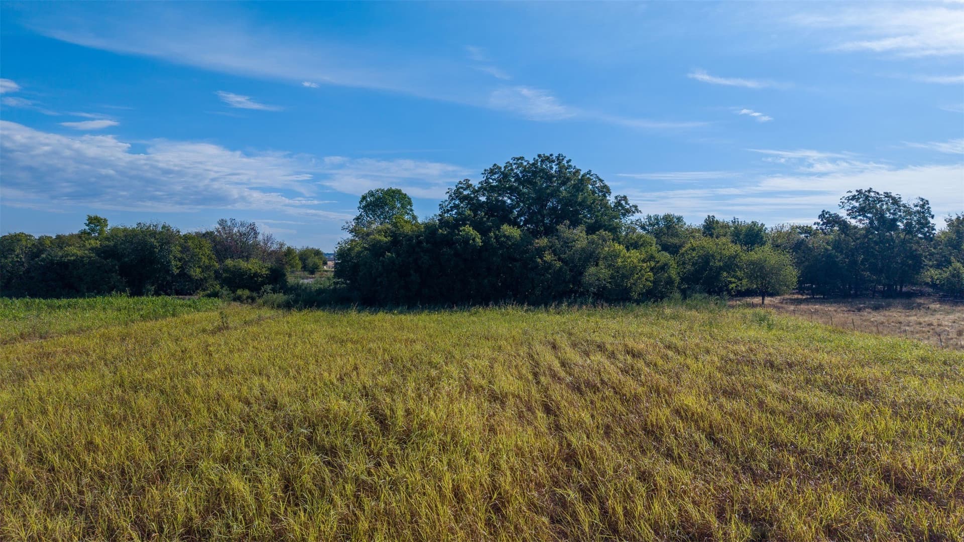 3.63 acres in Johnson County - photo 20