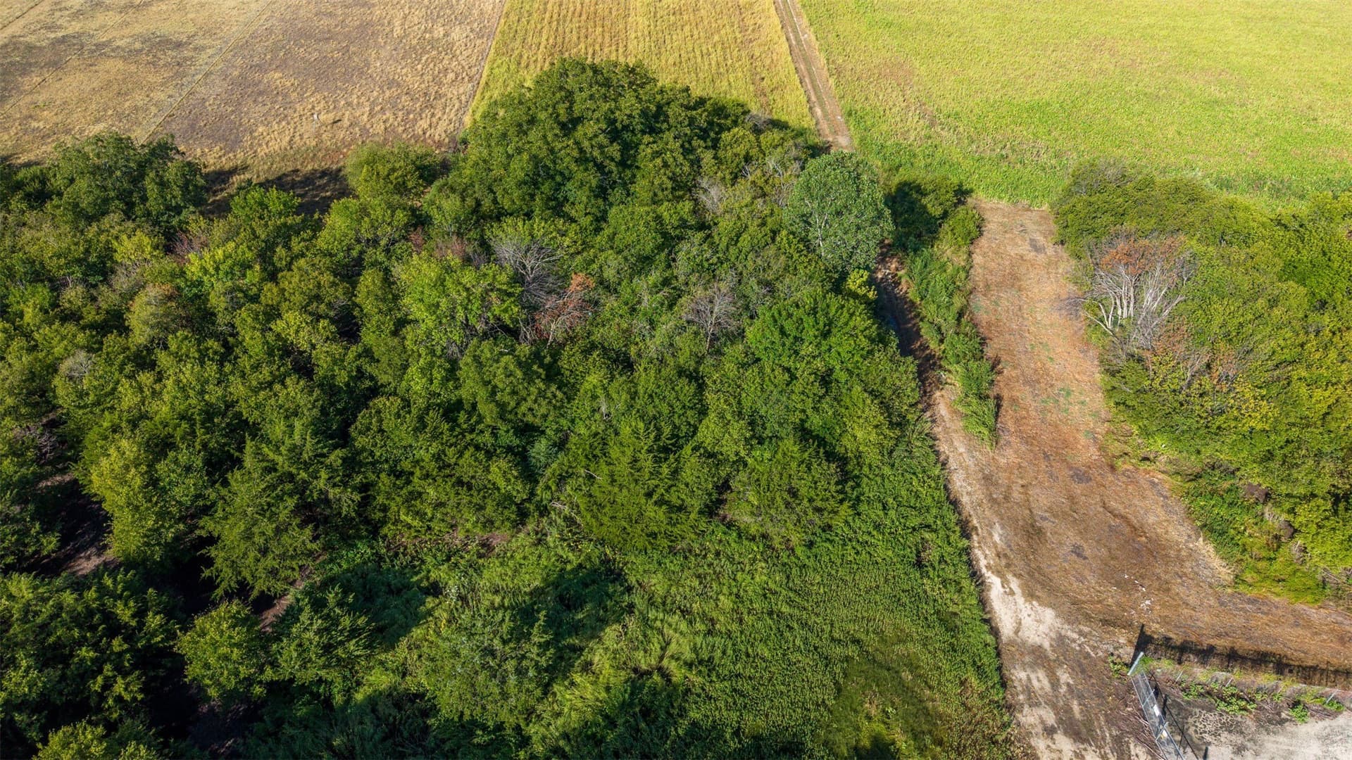 3.63 acres in Johnson County - photo 17