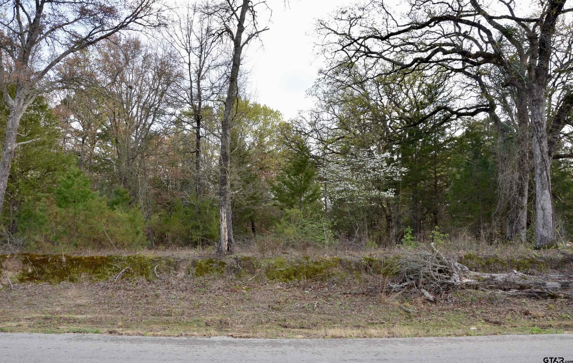 0.5 acres in Wood County - photo 6