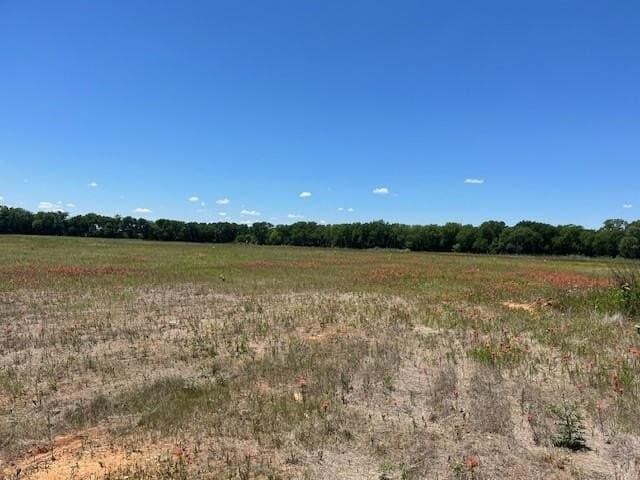 13.35 acres in Grayson County gallery image 4