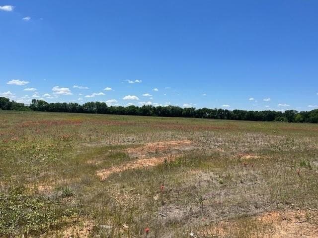 13.35 acres in Grayson County gallery image 3