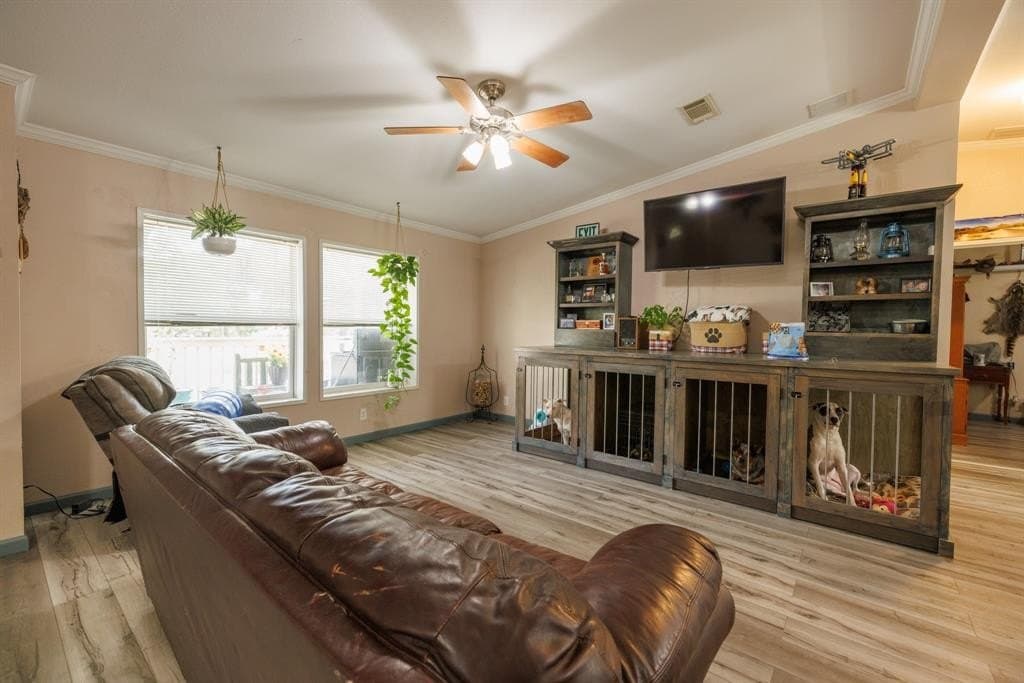 20.14 acres in Jones County gallery image 4