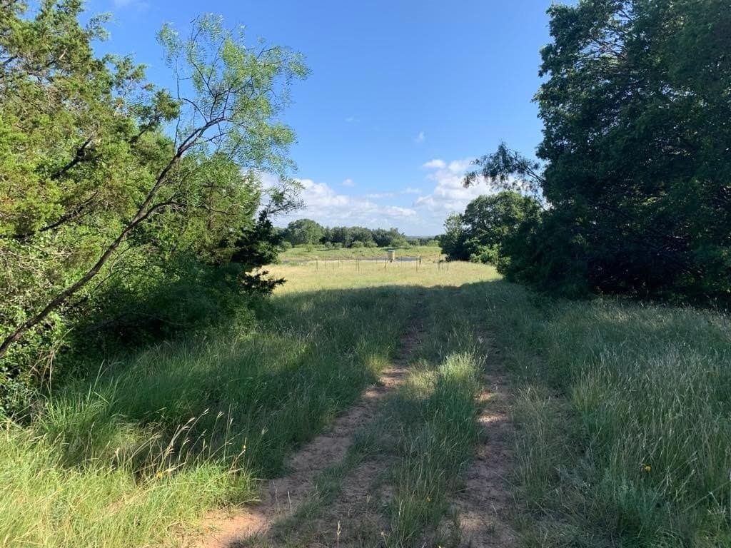 93 acres in Comanche County gallery image 3