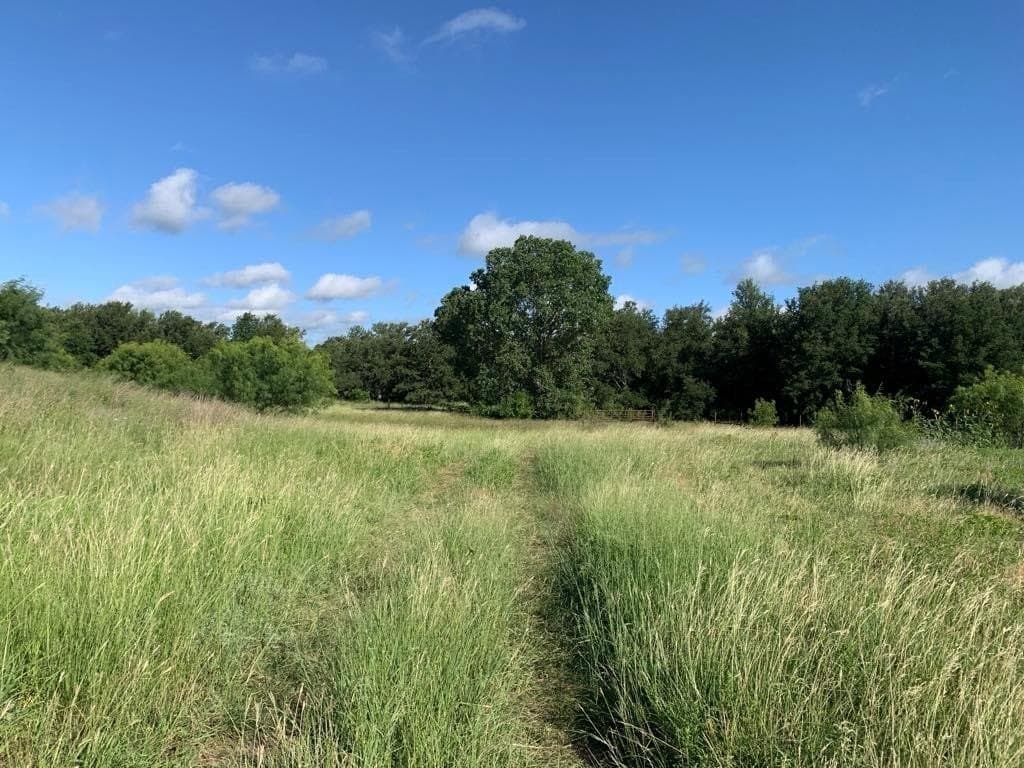 93 acres in Comanche County gallery image 2