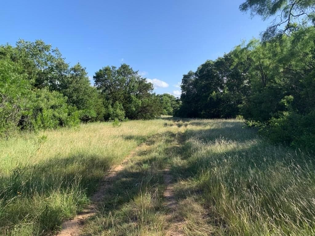 93 acres in Comanche County gallery image 4