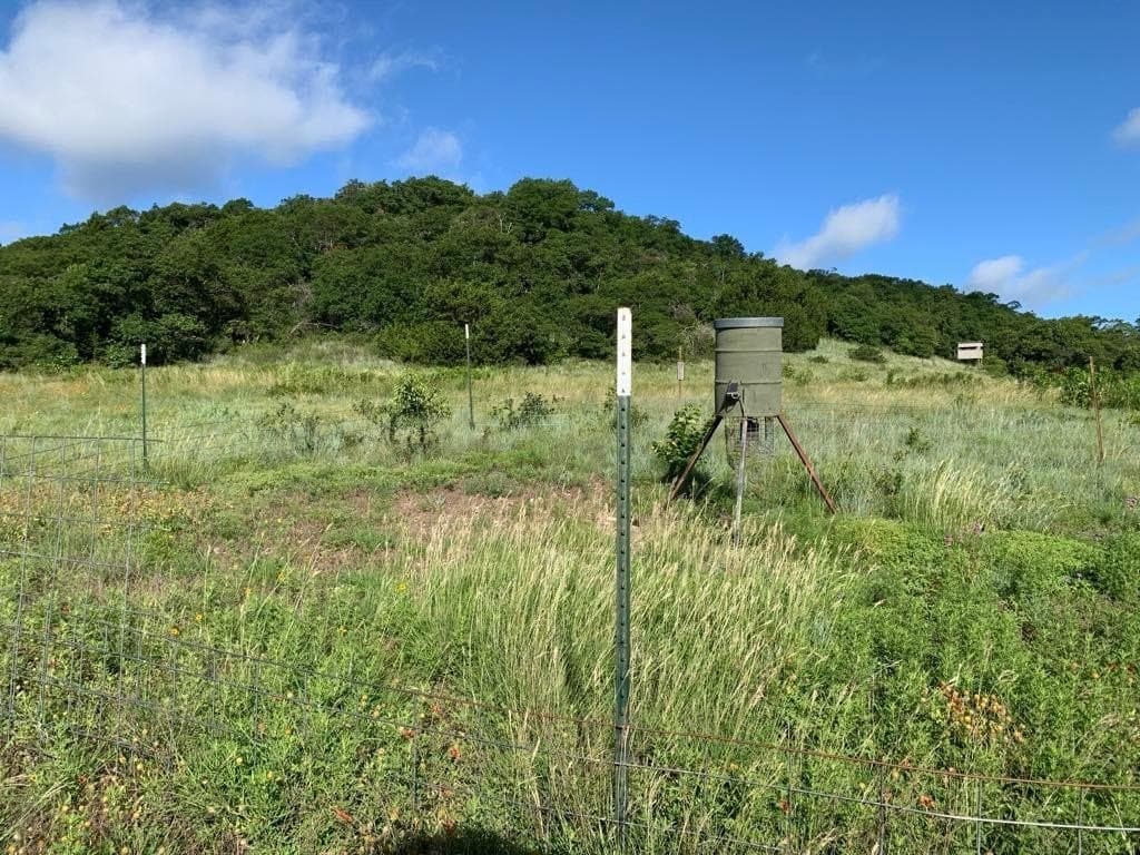 93 acres in Comanche County featured view