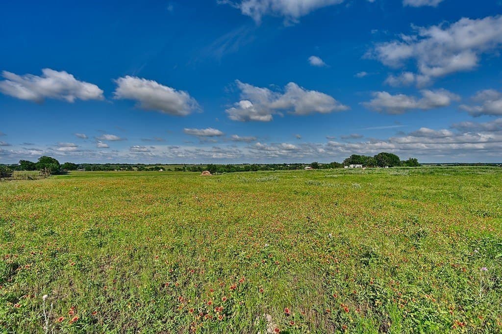 60 acres in Washington County gallery image 4