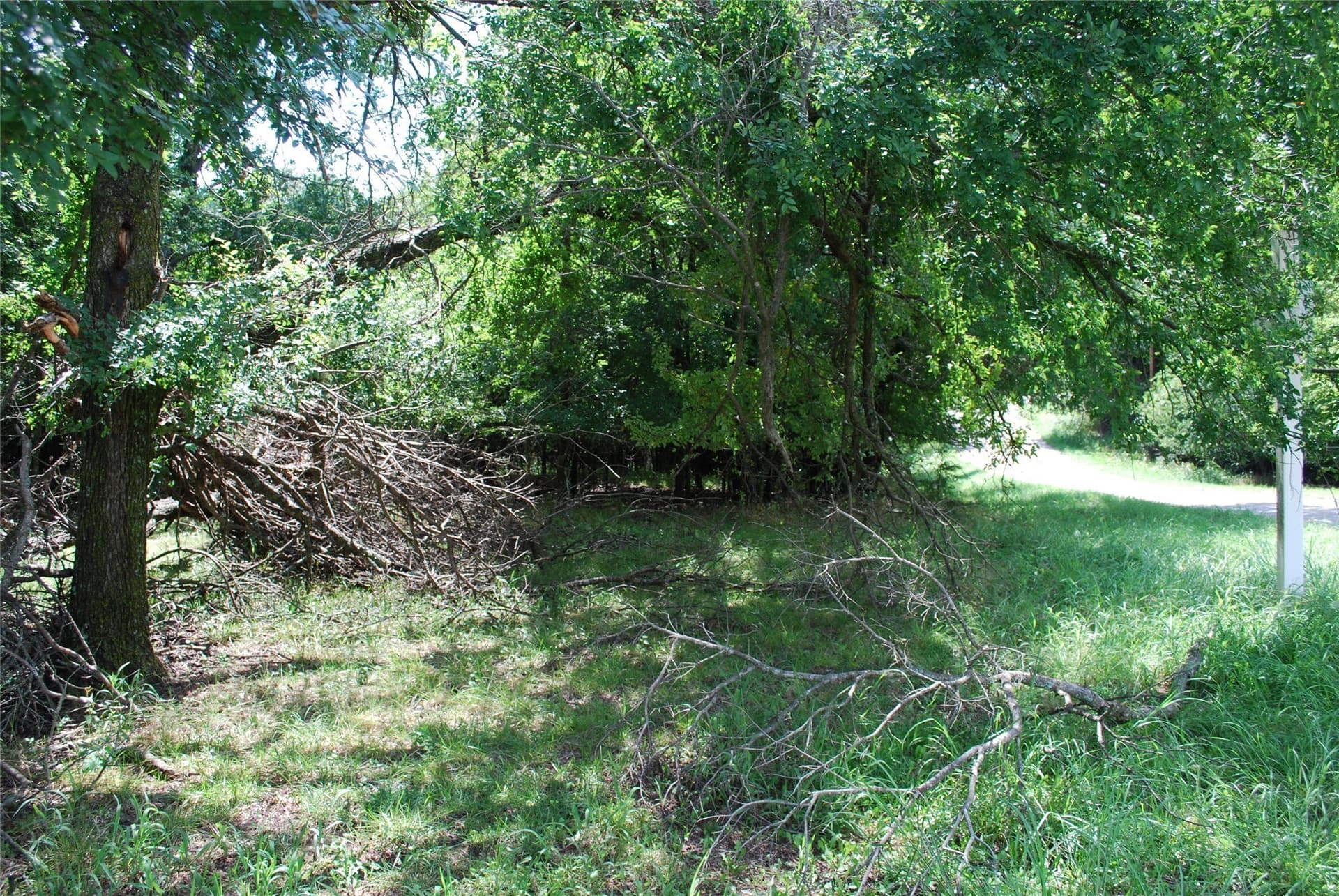 0.56 acres in Hill County - photo 5