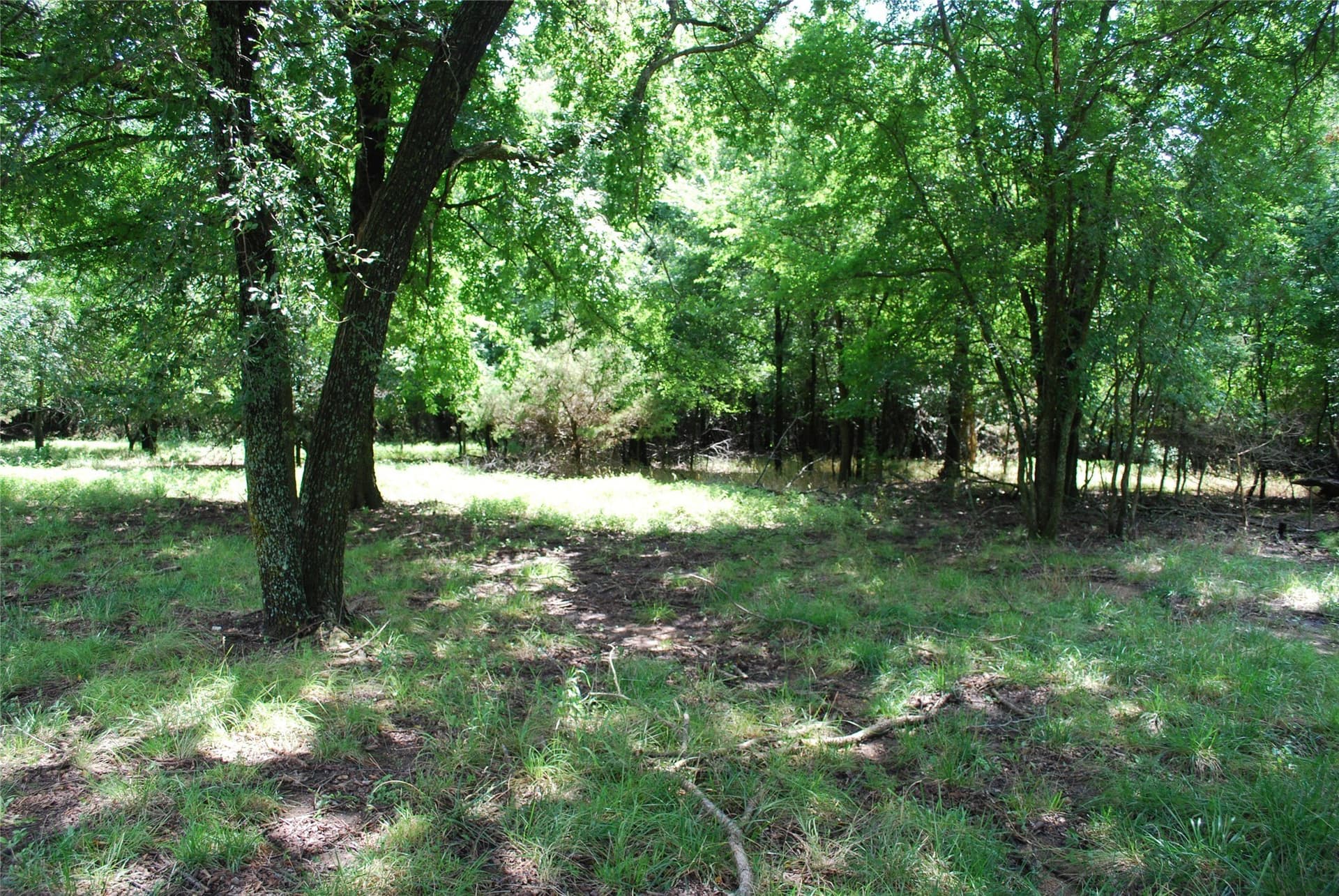 0.56 acres in Hill County - photo 4