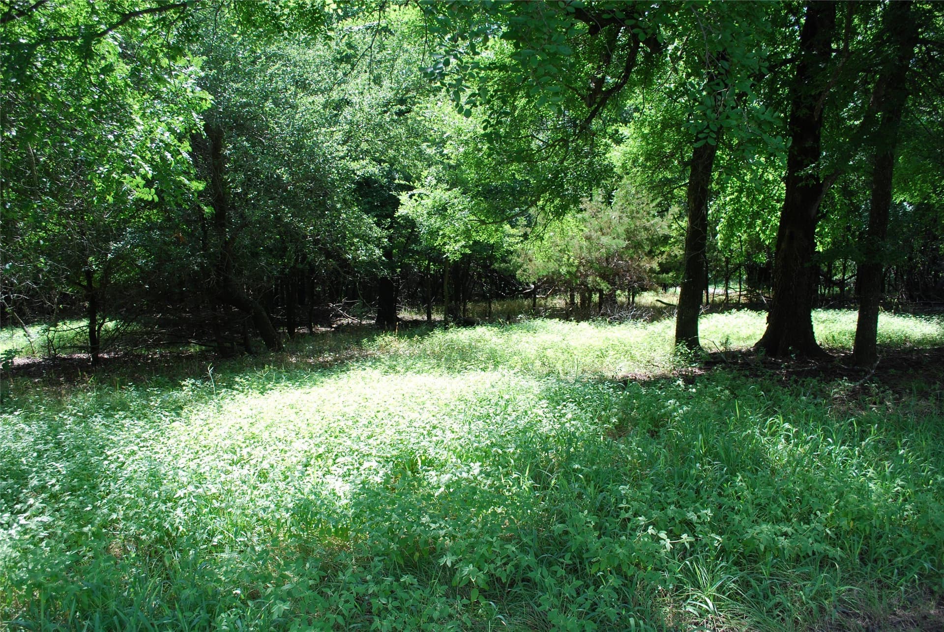 0.56 acres in Hill County - photo 6