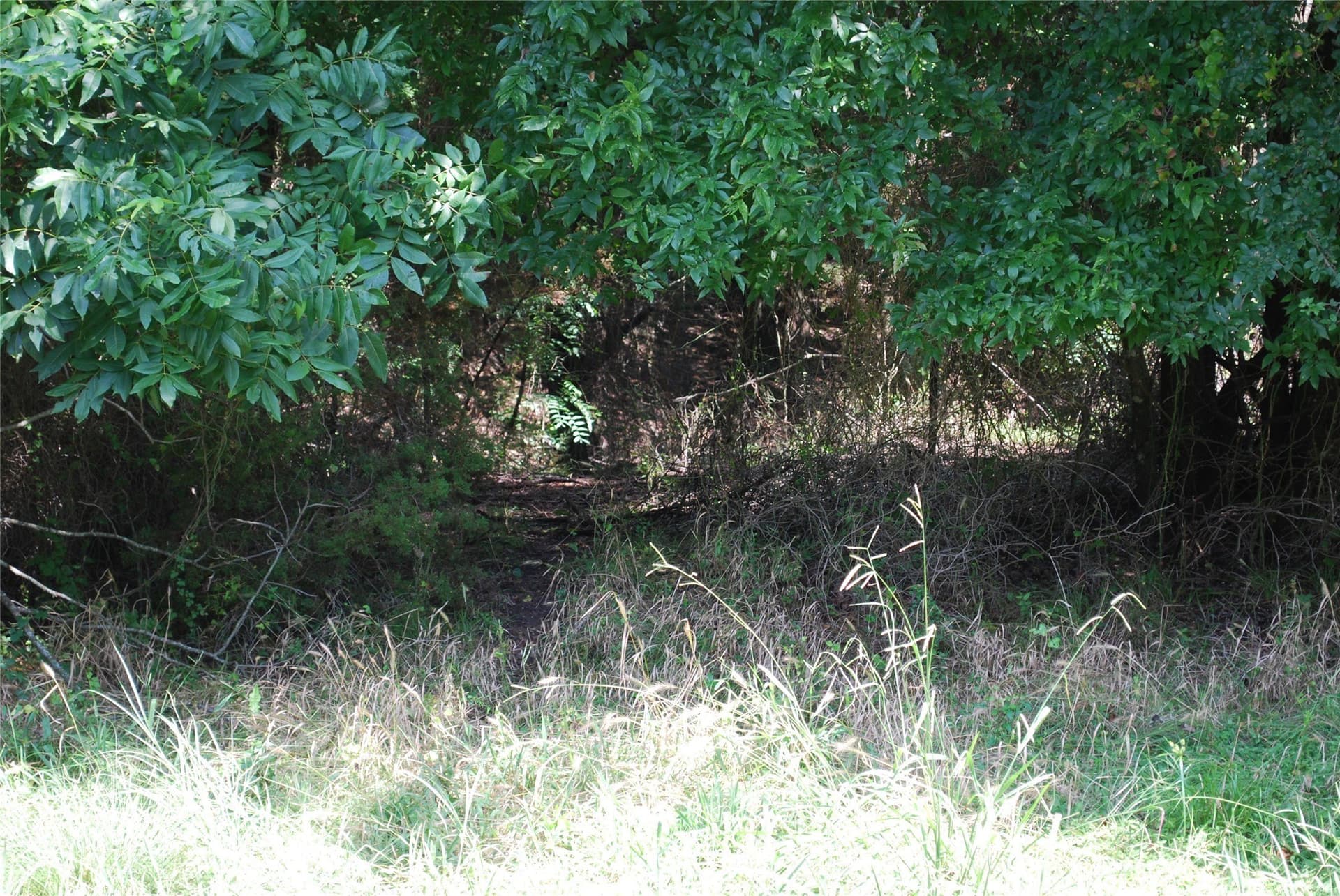0.56 acres in Hill County - photo 17
