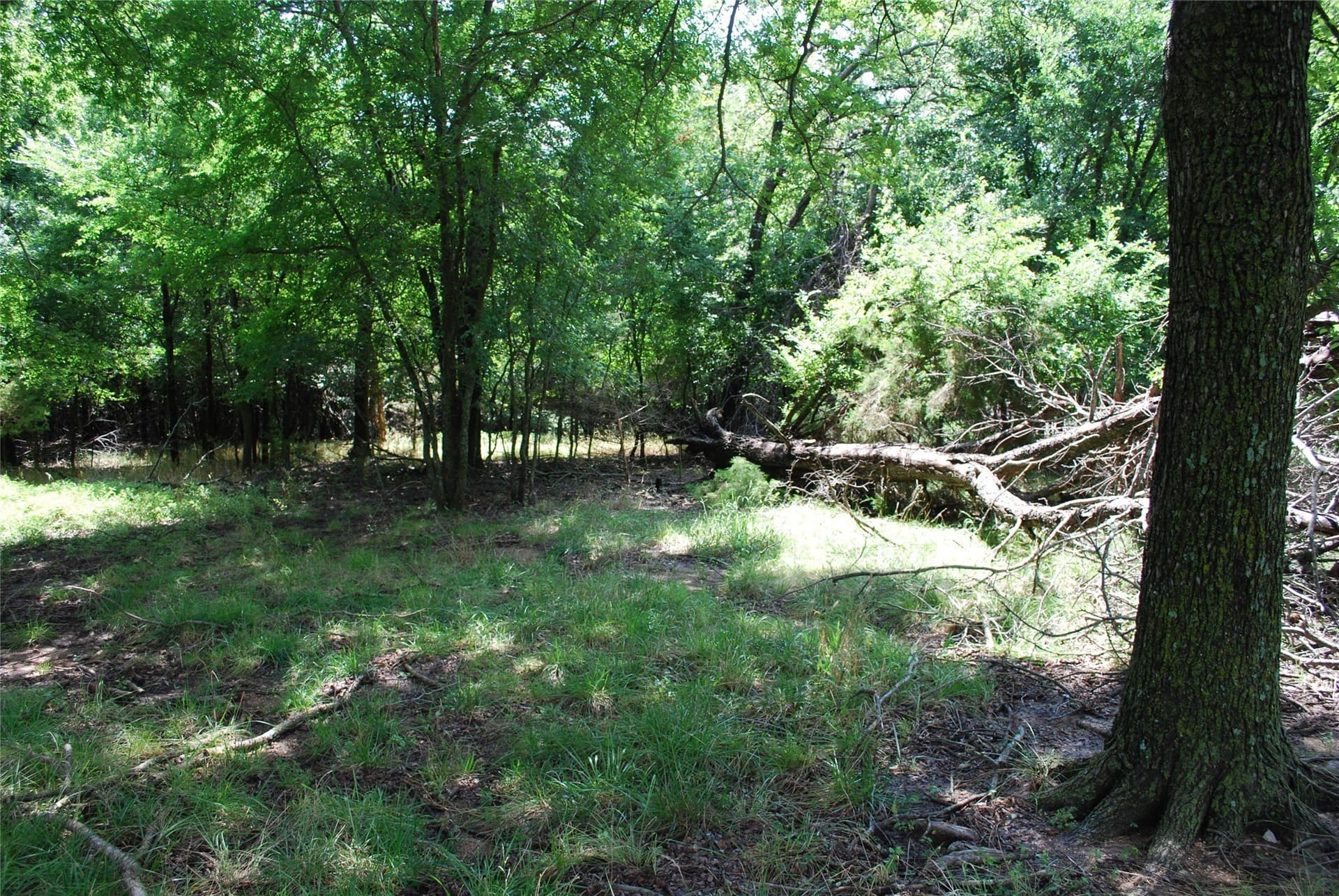 0.56 acres in Hill County - photo 3