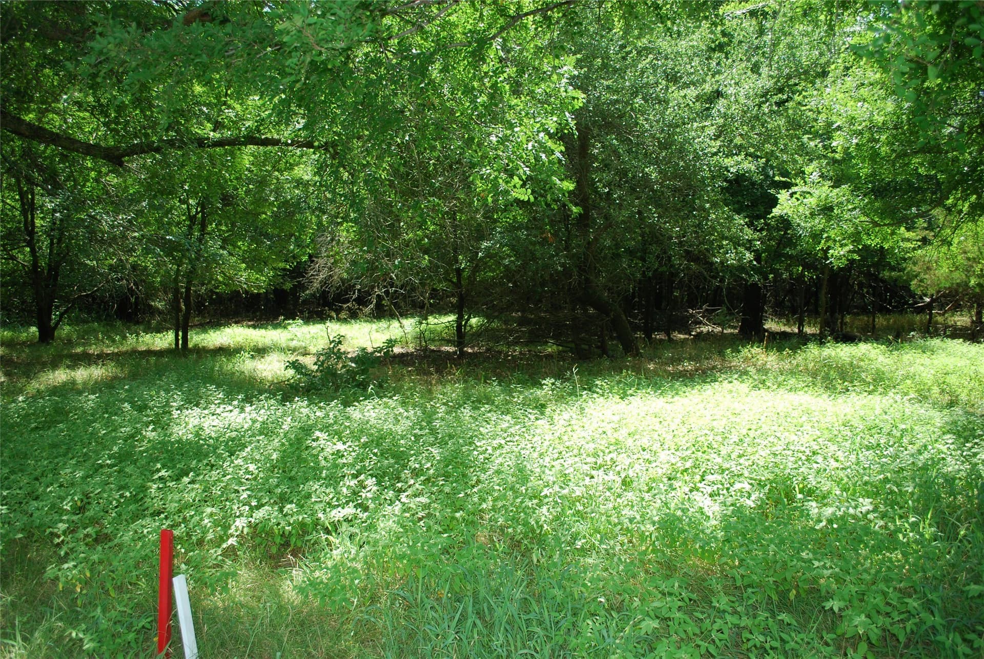 0.56 acres in Hill County - photo 7