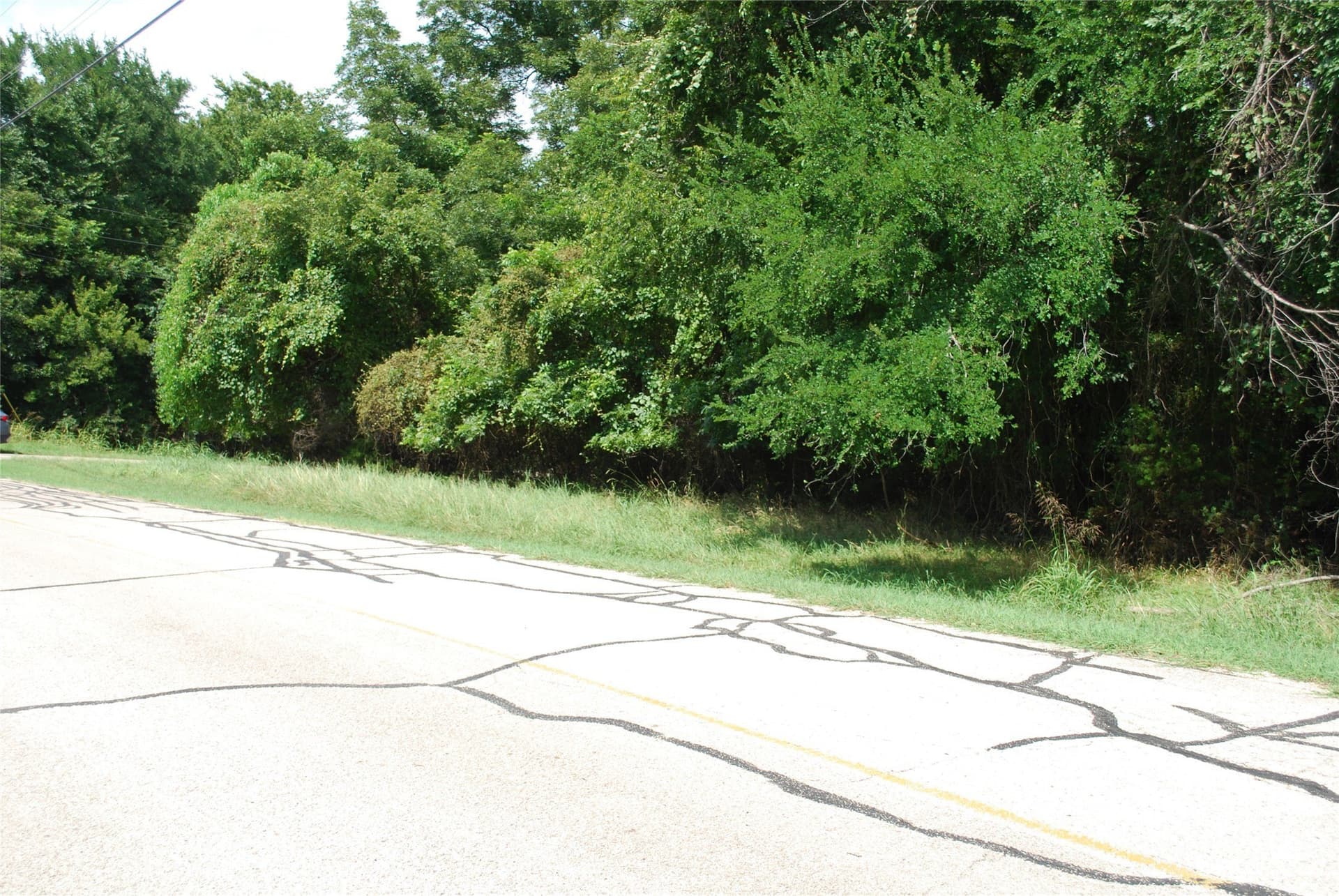0.56 acres in Hill County - photo 18