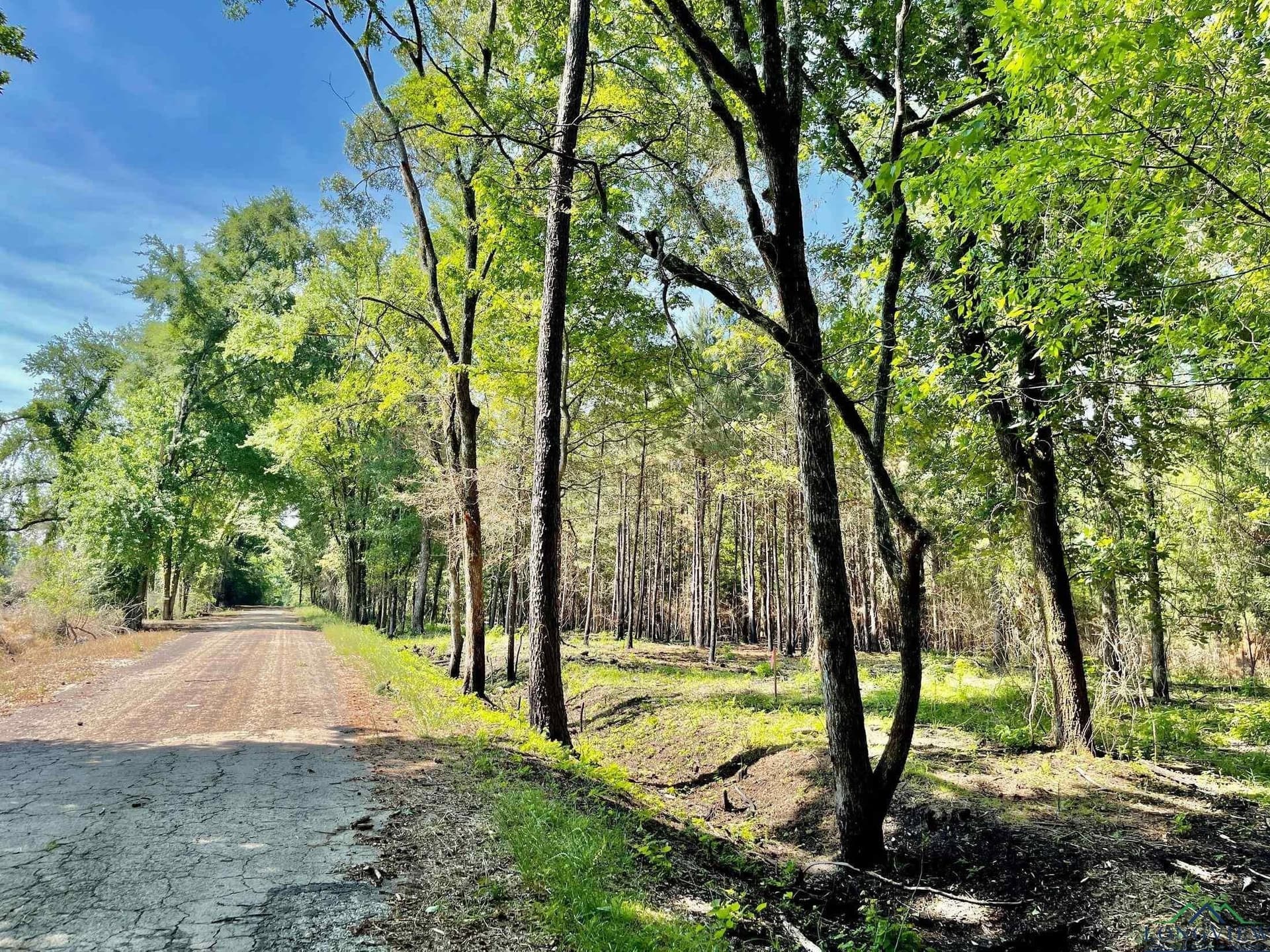 2.77 acres in Marion County gallery image 3