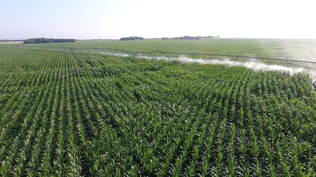 2,125 acres in Lamar County gallery image 3