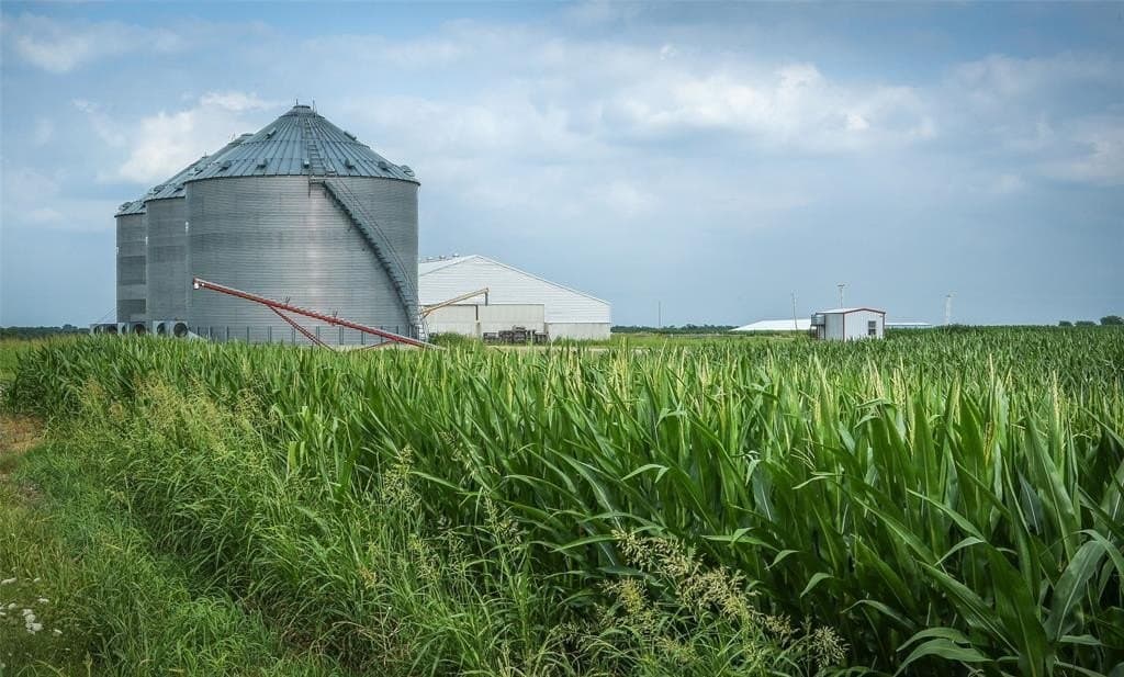 2,125 acres in Lamar County