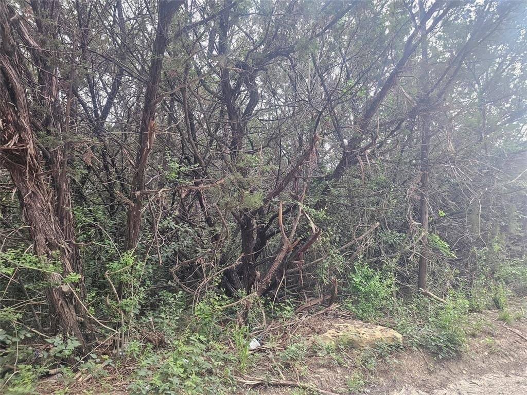 0.23 acres in Hill County gallery image 2