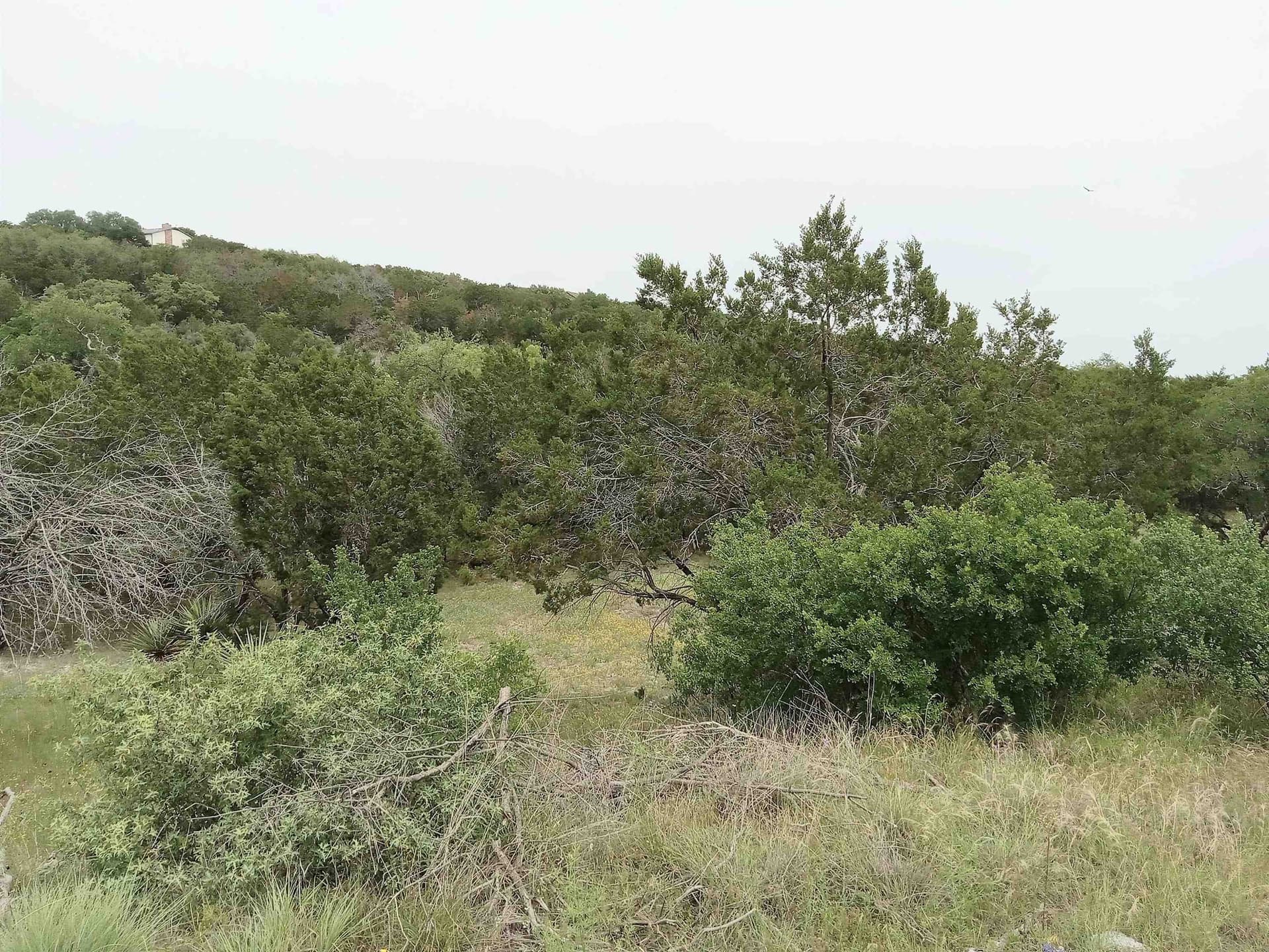 0.26 acres in Llano County gallery image 3