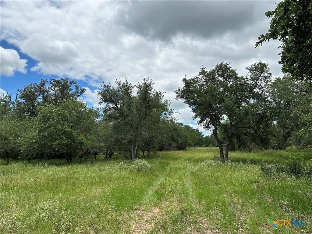 20 acres in Victoria County gallery image 3