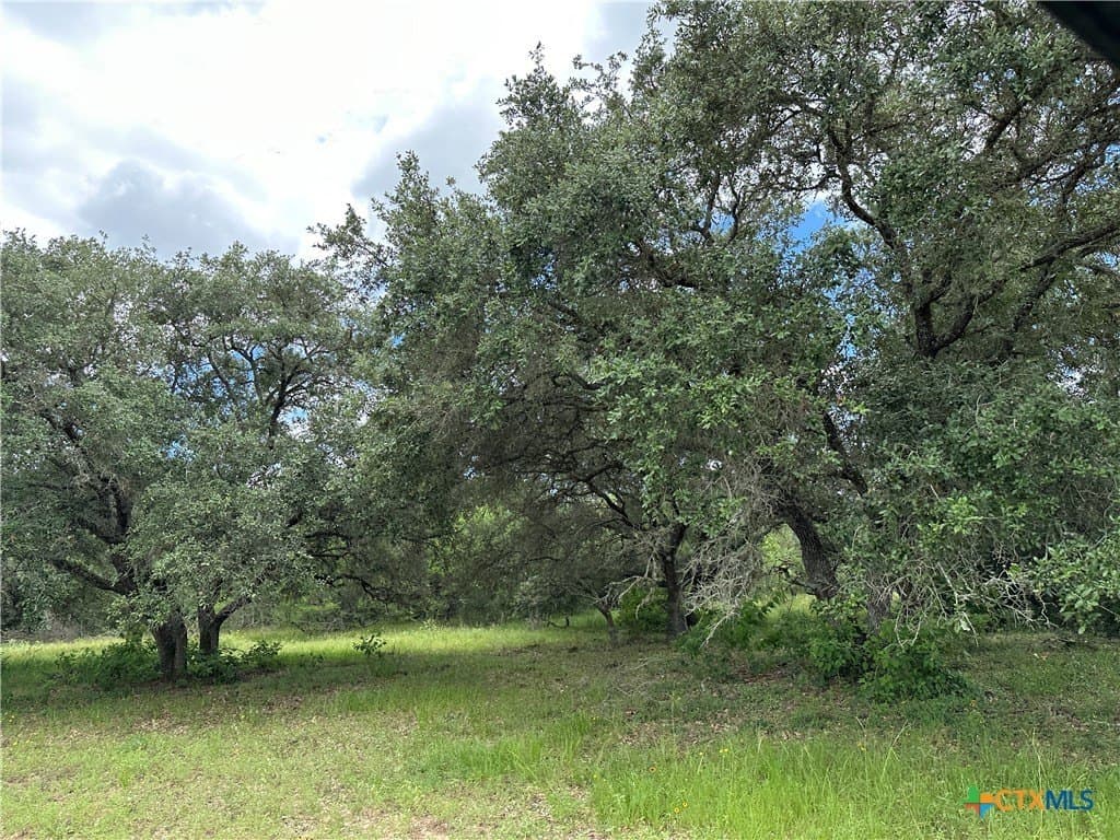 20 acres in Victoria County - photo 7