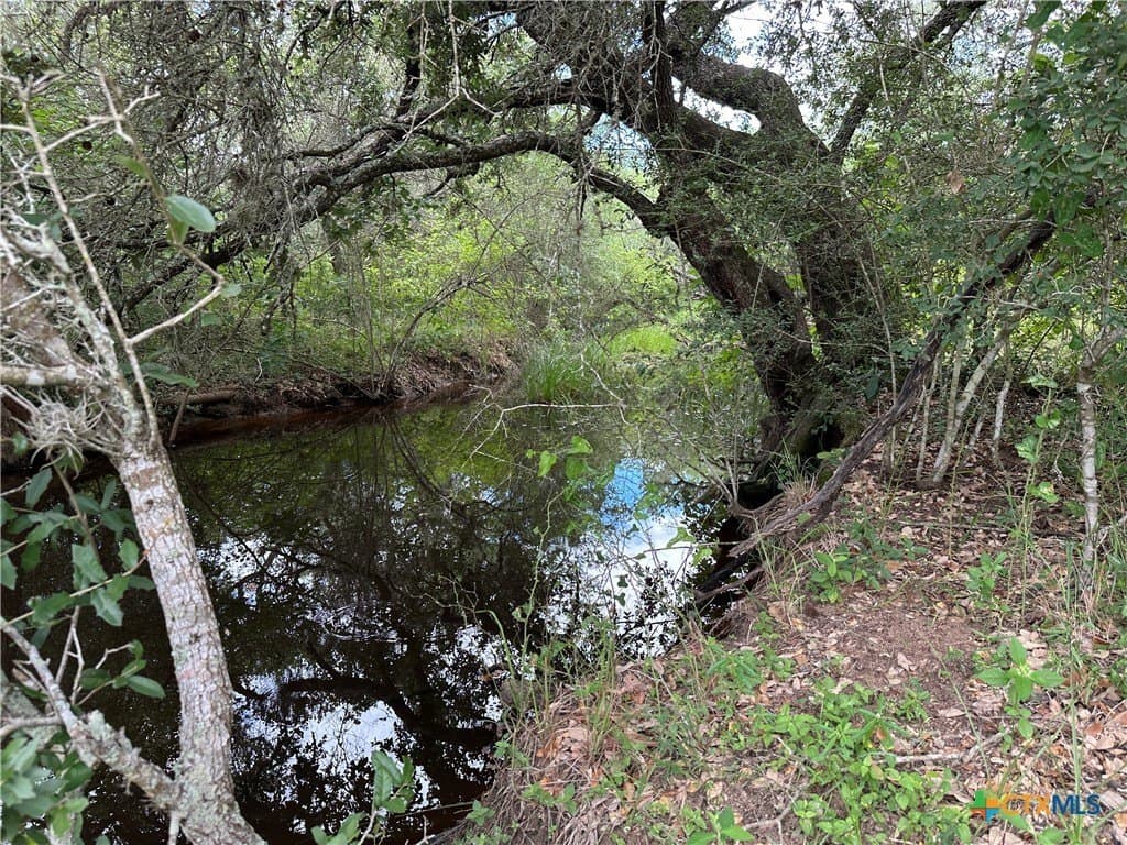 20 acres in Victoria County - photo 6