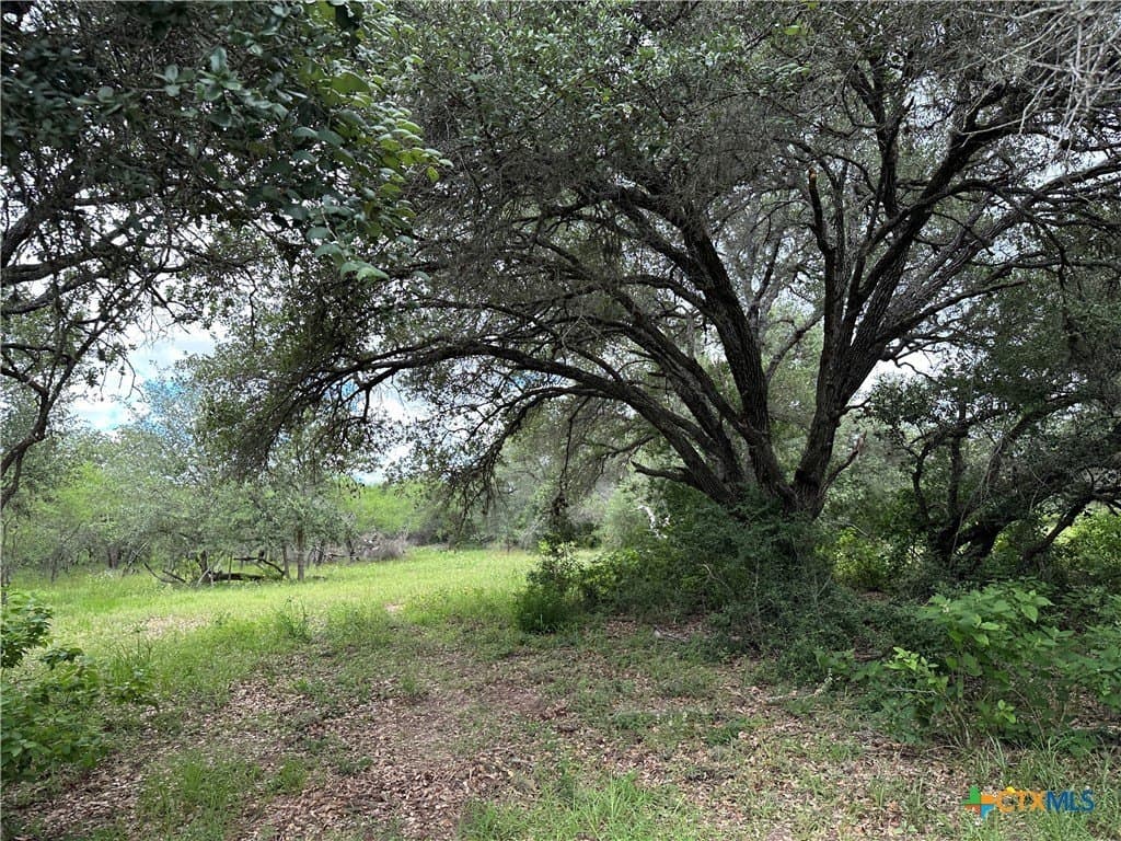 20 acres in Victoria County gallery image 4