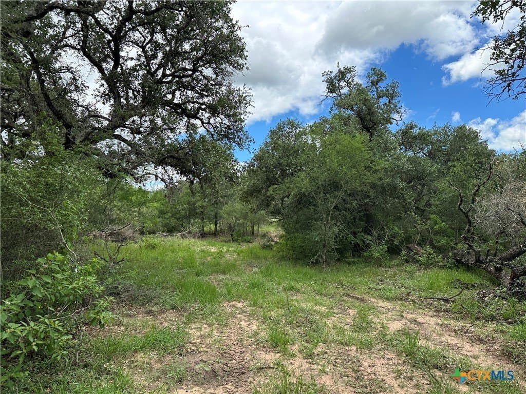 20 acres in Victoria County
