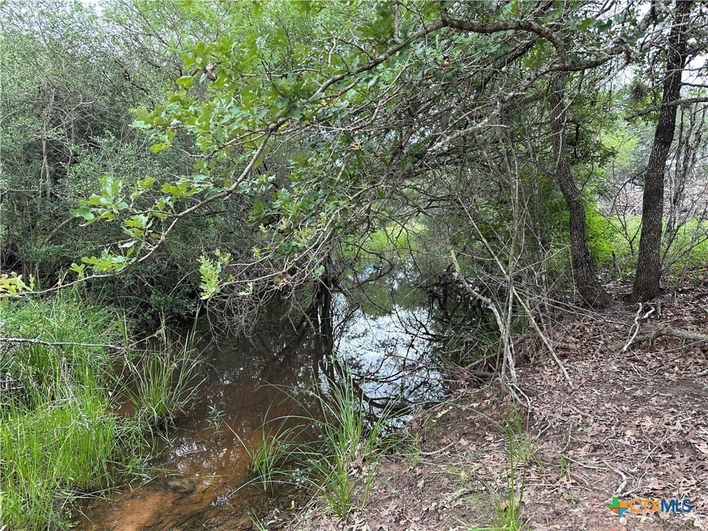 20 acres in Victoria County featured view