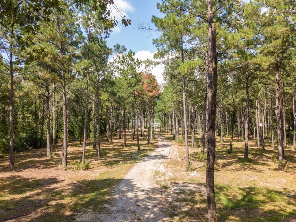 11.9 acres in Texas County gallery image 2