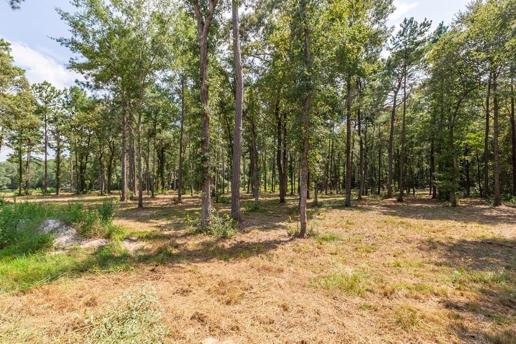 11.9 acres in Texas County featured view