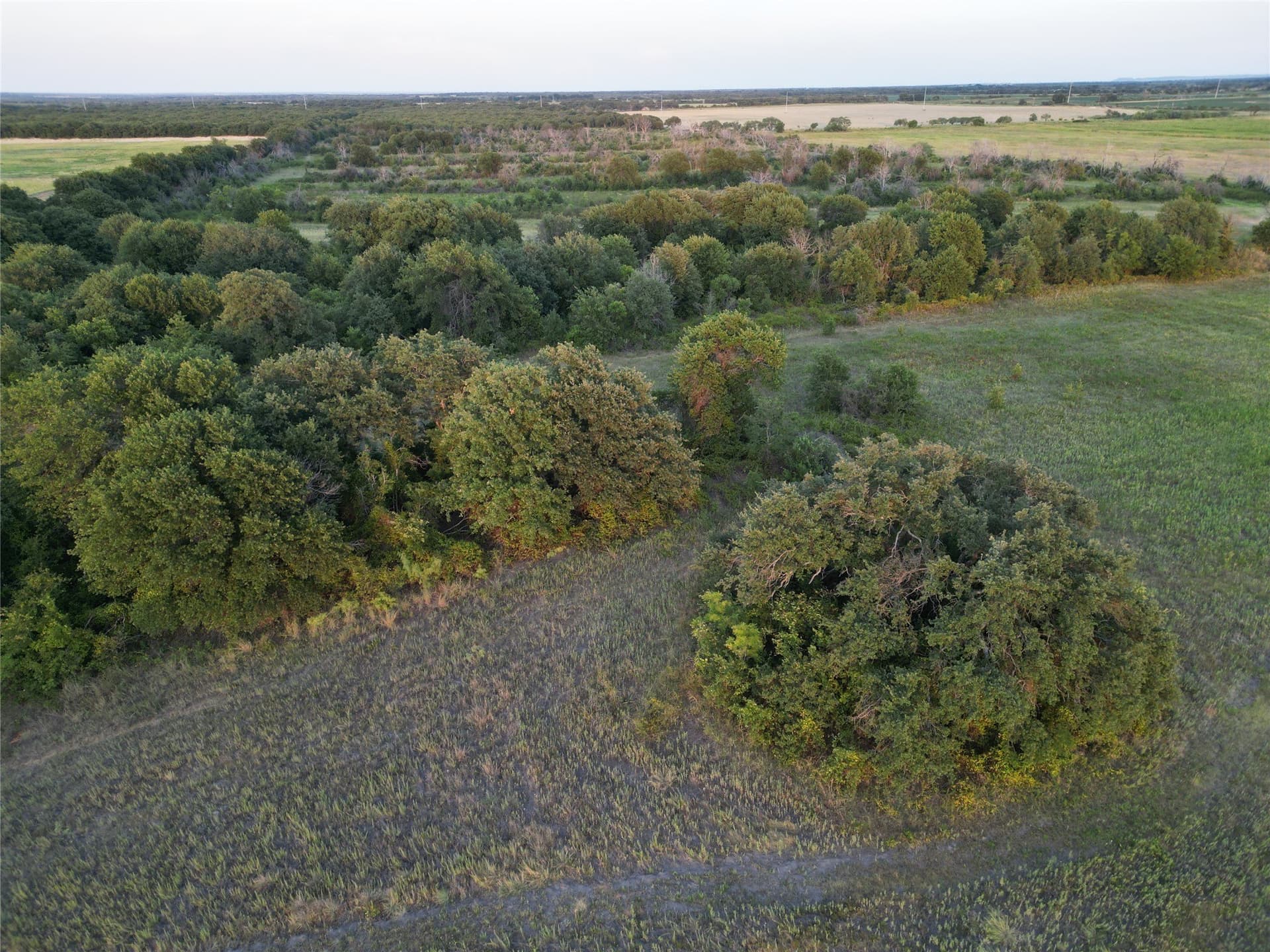 159.57 acres in Comanche County - photo 19