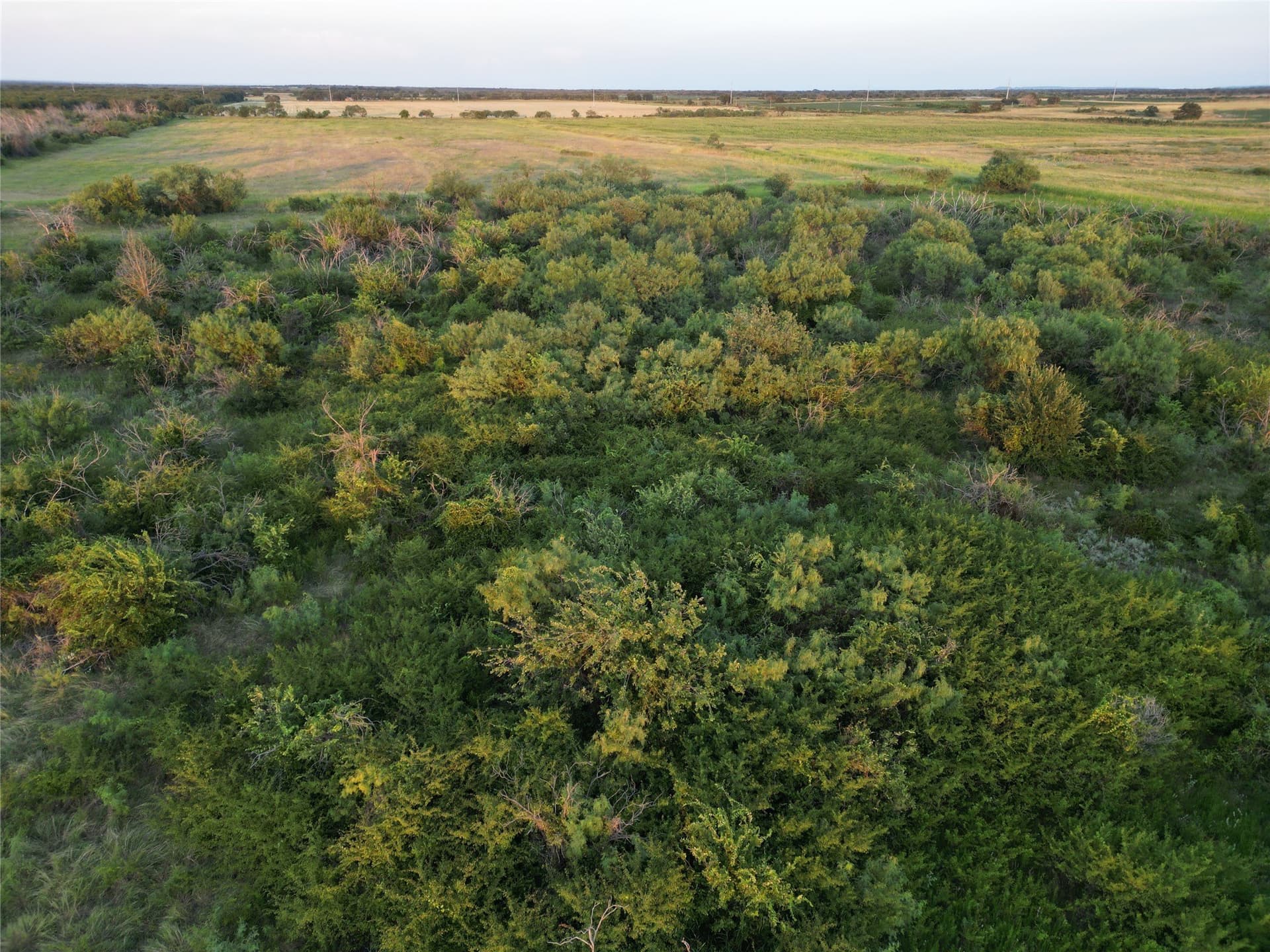 159.57 acres in Comanche County - photo 20