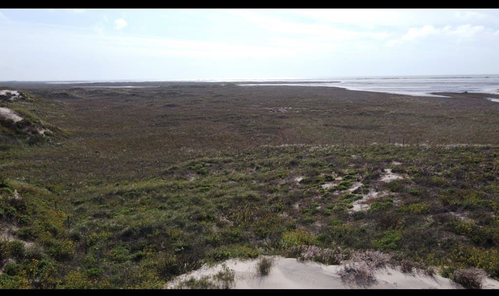 0 acres in Cameron County gallery image 2