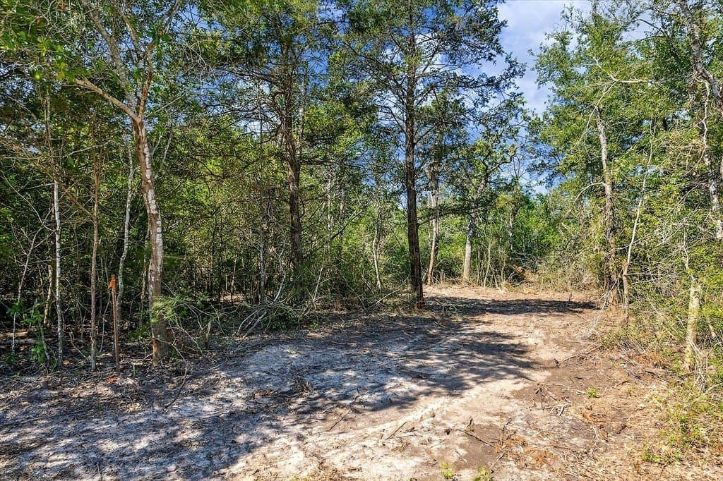 1.58 acres in Fayette County gallery image 4