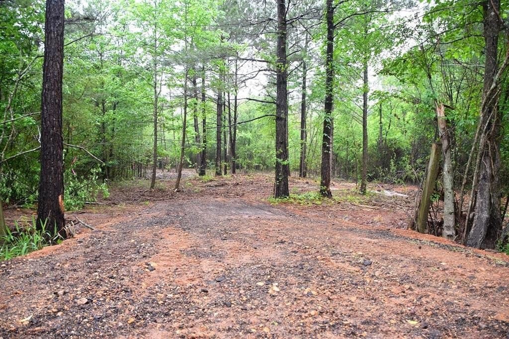 1 acres in Bowie County gallery image 3