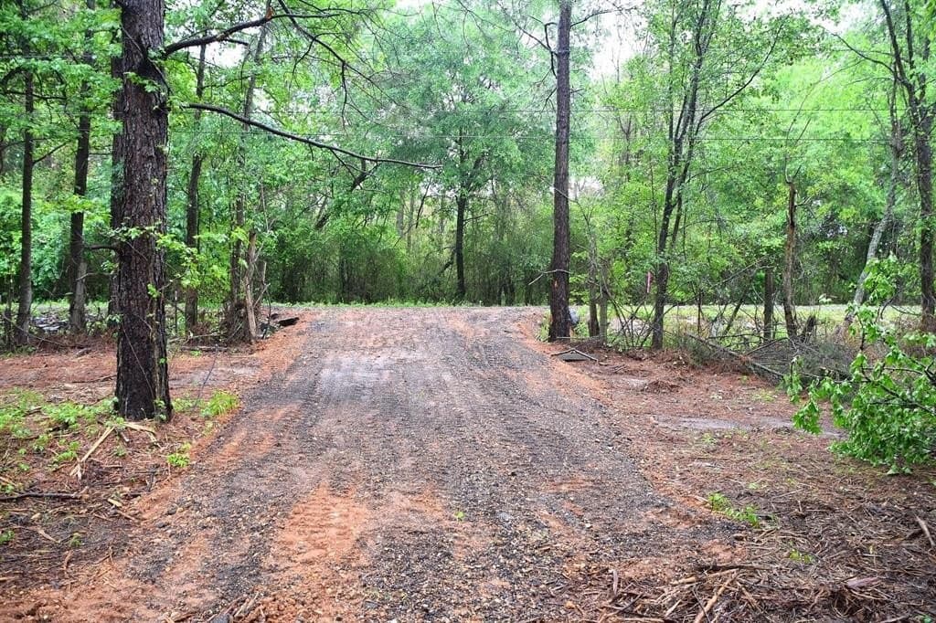 1 acres in Bowie County gallery image 2