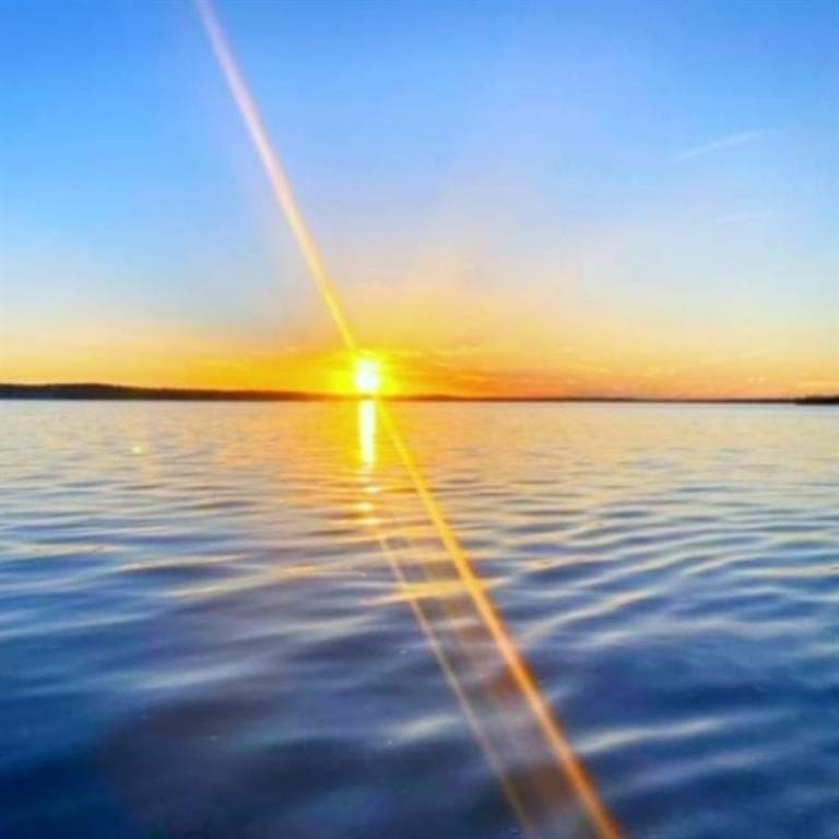 2.38 acres in Navarro County gallery image 3