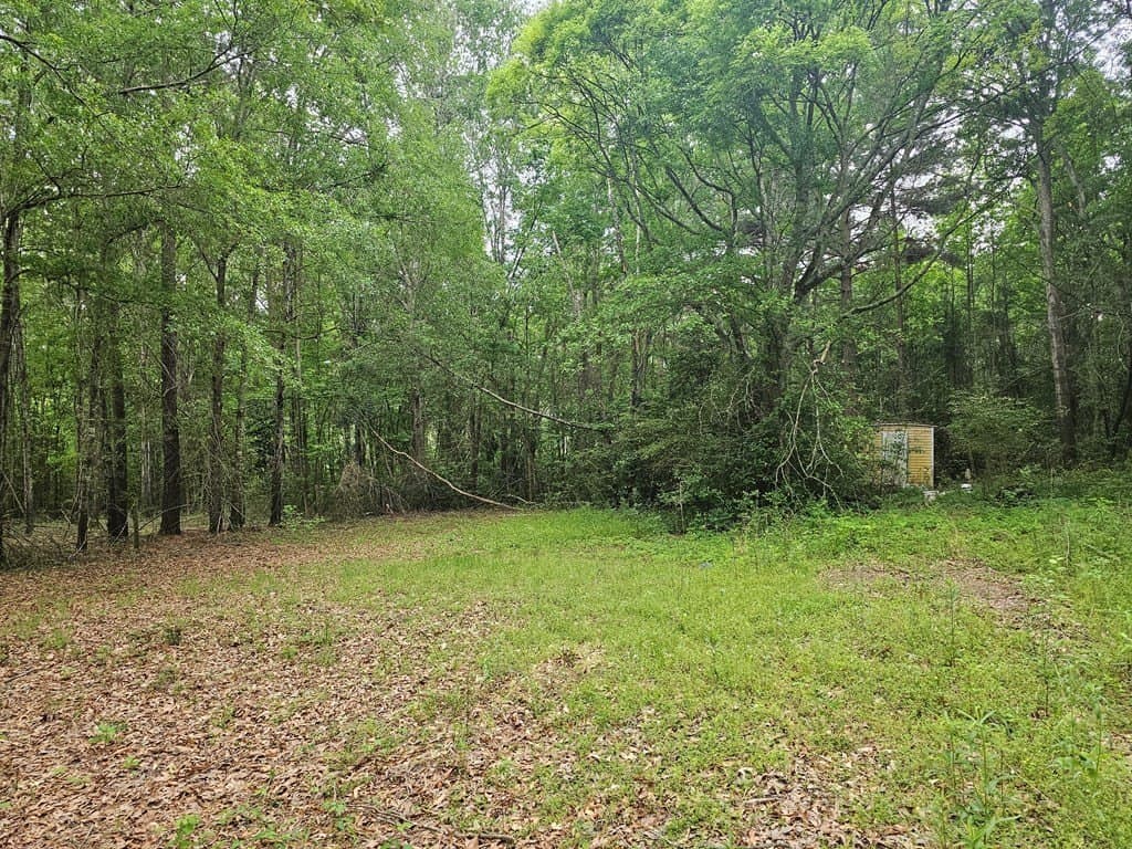 0.52 acres in Texas County - photo 13