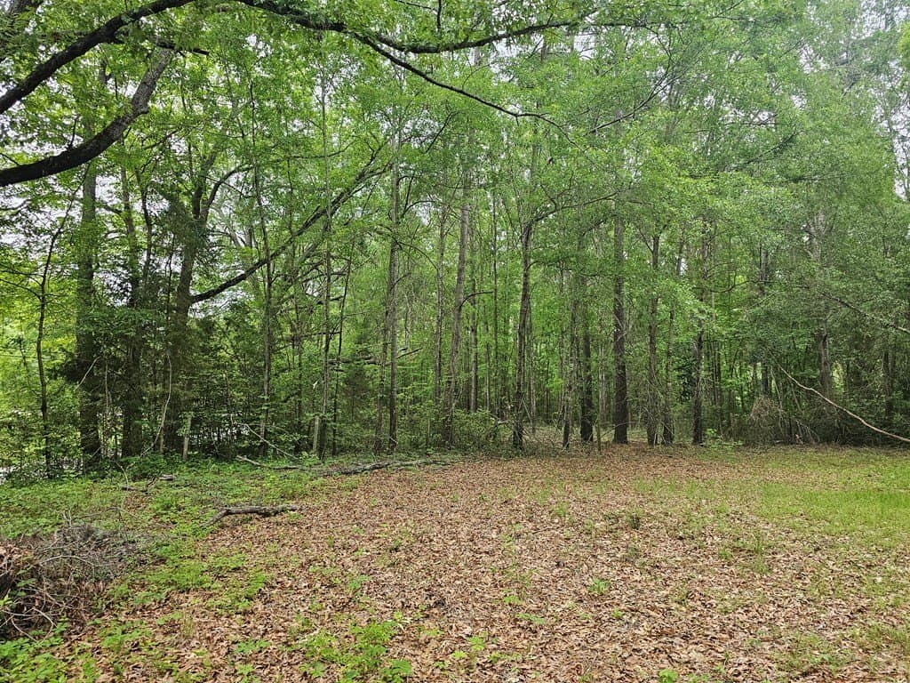 0.52 acres in Texas County - photo 11