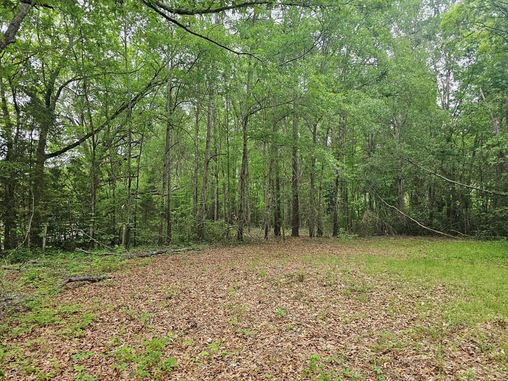 0.52 acres in Texas County - photo 10