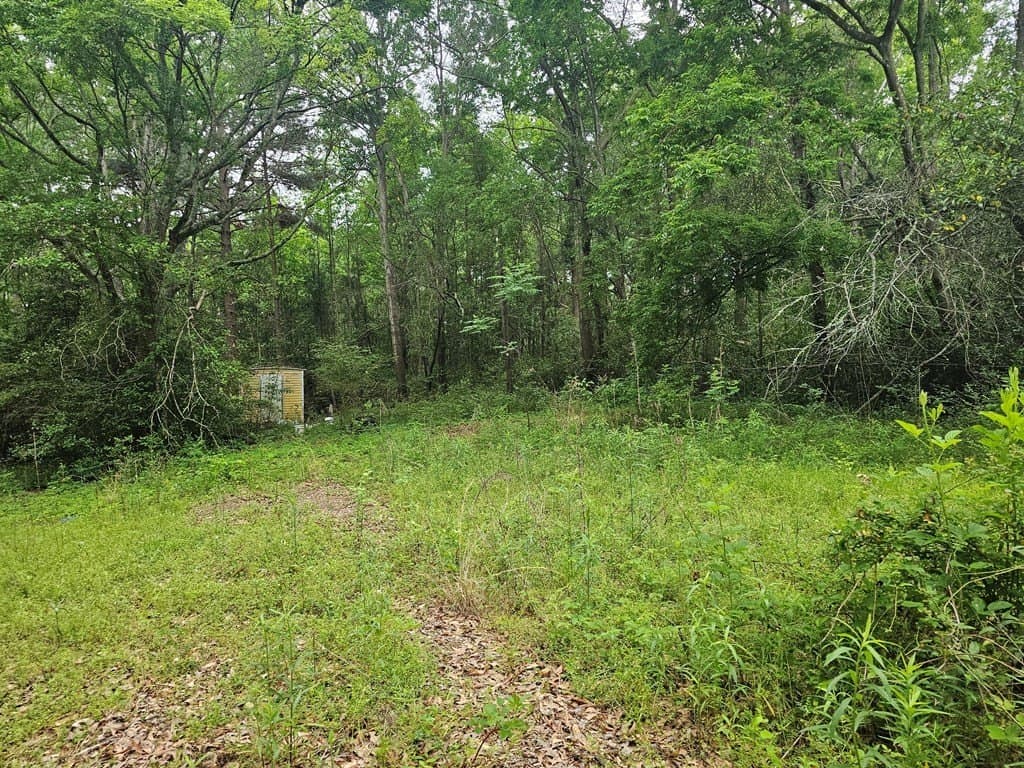 0.52 acres in Texas County - photo 9